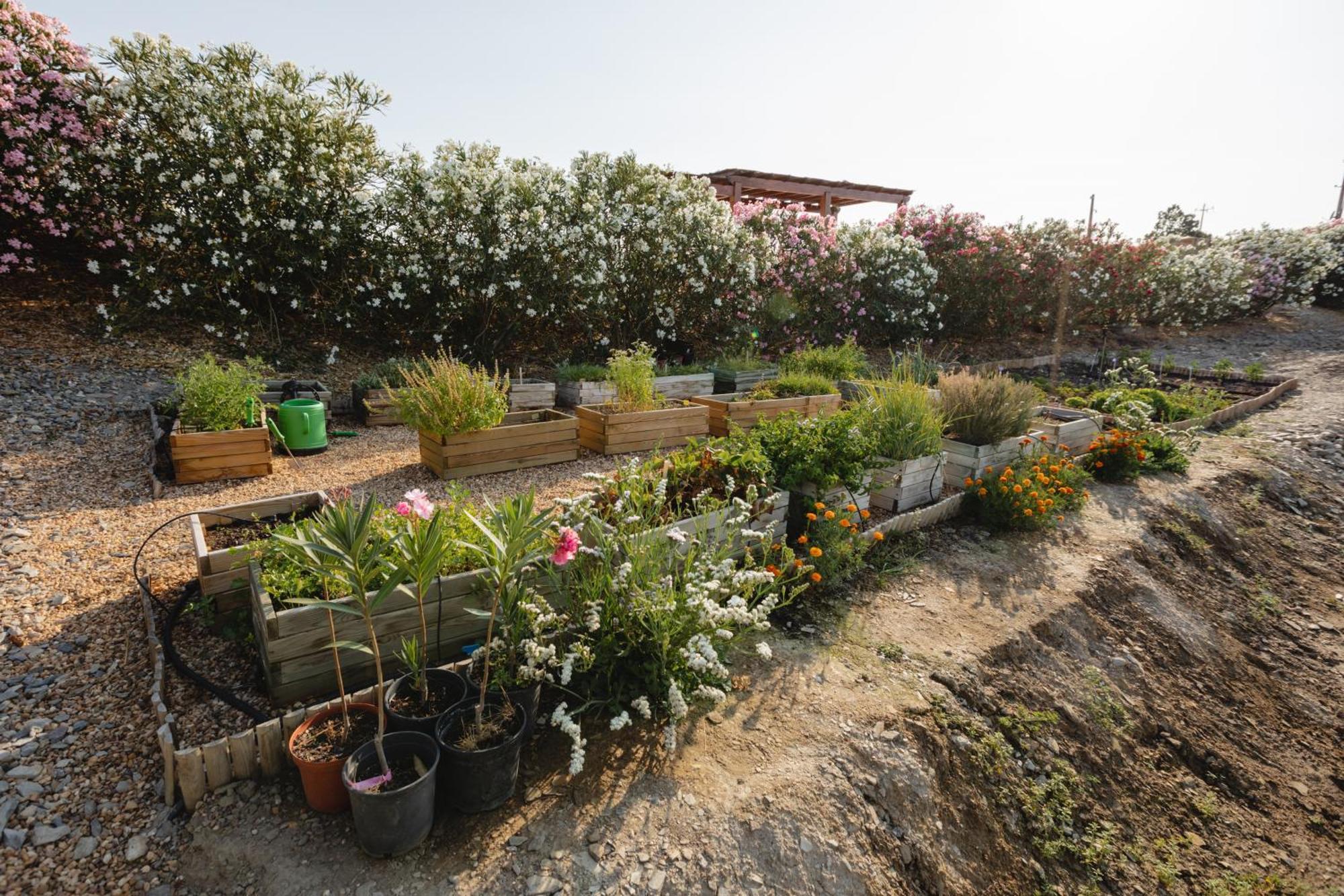 Villa Monte Vale - Organic Farm à Entradas Extérieur photo